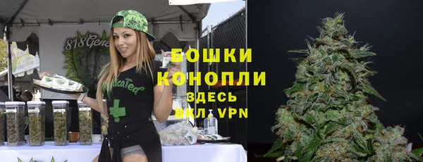 сатива Заволжск