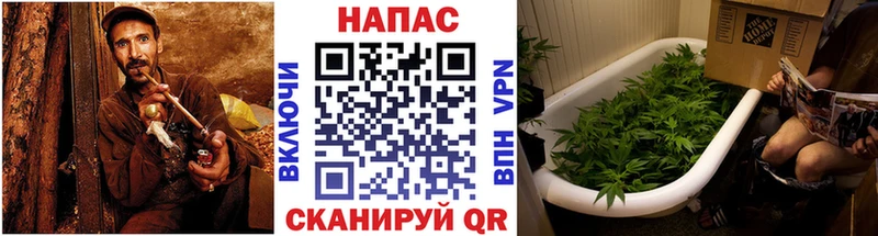 Канабис семена  Купить где  Кольчугино 